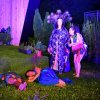 2019 - Ein Sommernachtstraum